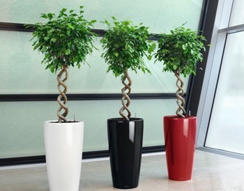 Rondo planters